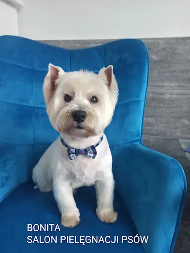 Bonita Salon Pielęgnacji Psów